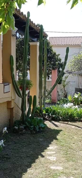 Roula'S House Βίλα Nymfai Εξωτερικό φωτογραφία