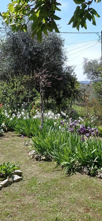 Roula'S House Βίλα Nymfai Εξωτερικό φωτογραφία
