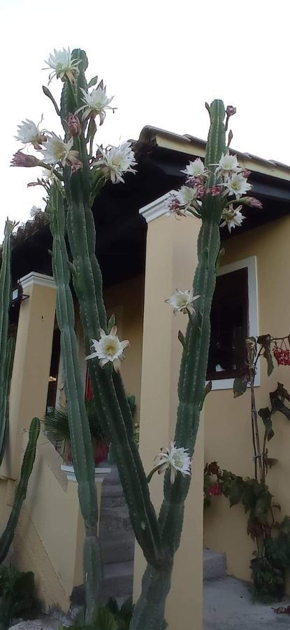 Roula'S House Βίλα Nymfai Εξωτερικό φωτογραφία